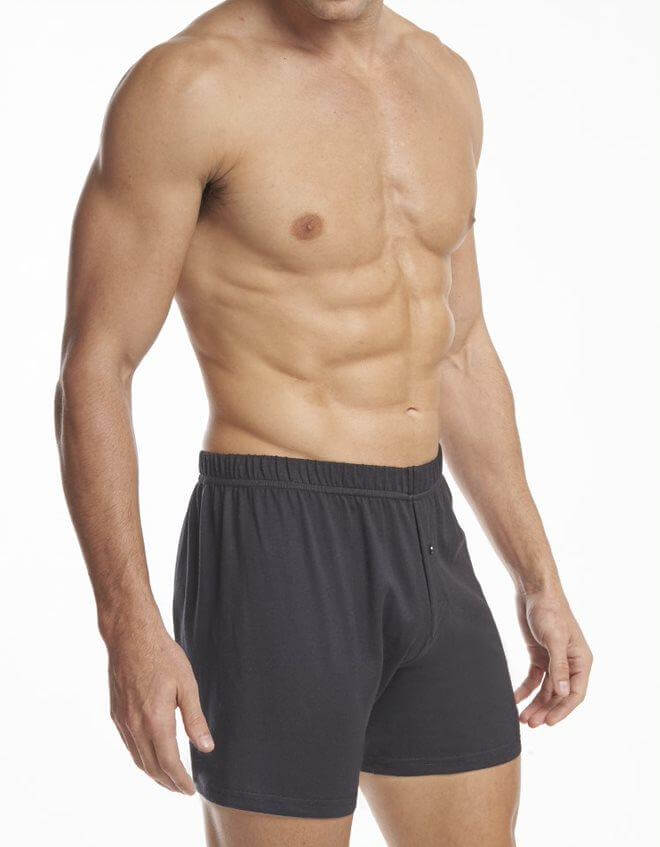 Stanfields Boxer Haut De Gamme Pour Hommes - Lot De 2