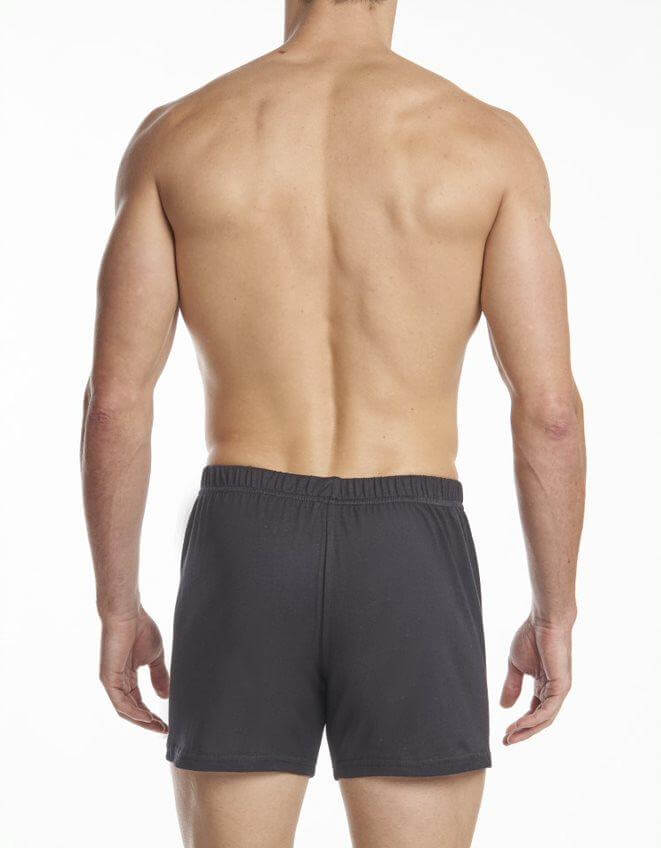 Stanfields Boxer Haut De Gamme Pour Hommes - Lot De 2