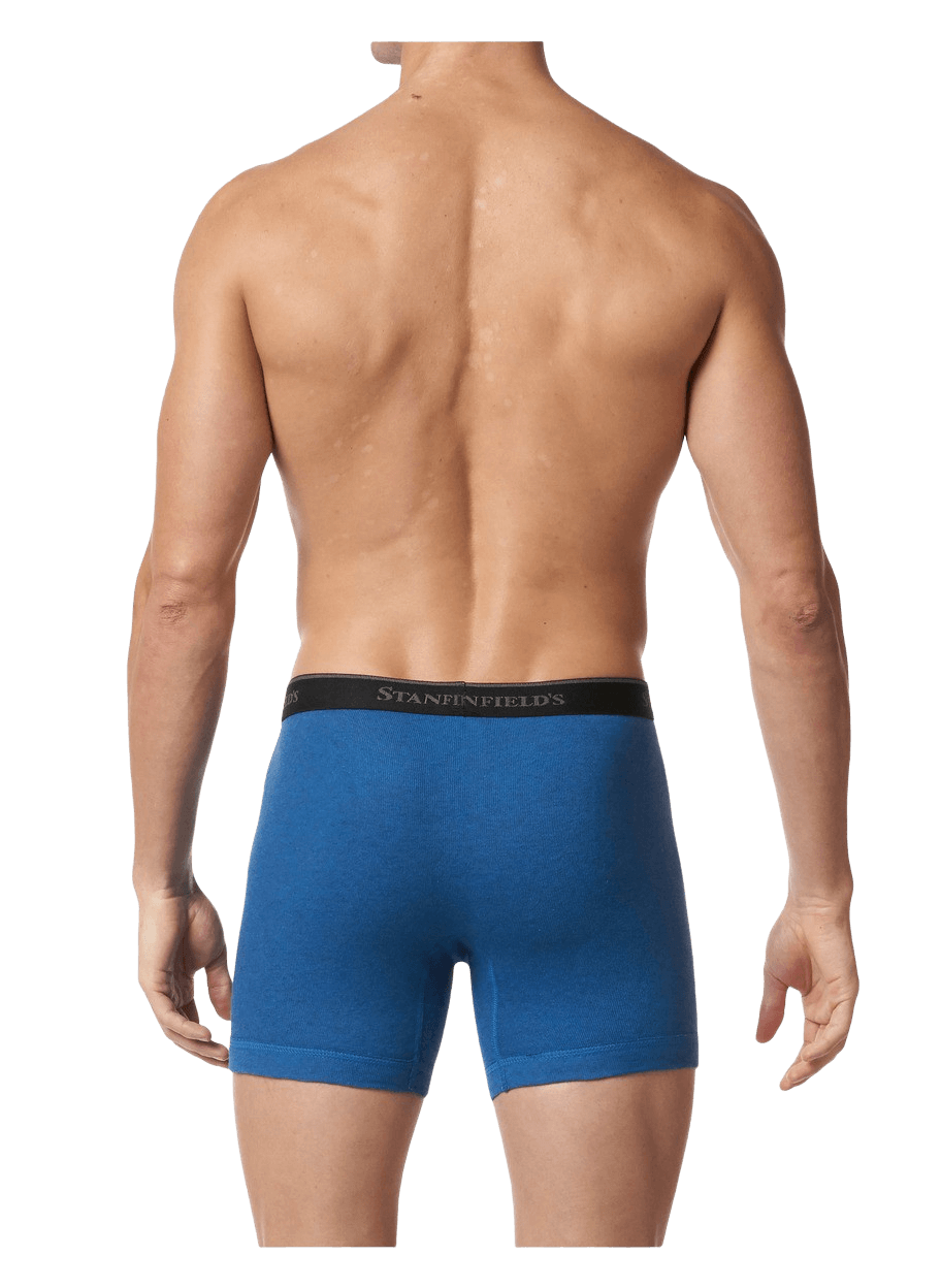 Stanfields Boxer Premium Modern Fit Pour Homme - Lot De 2