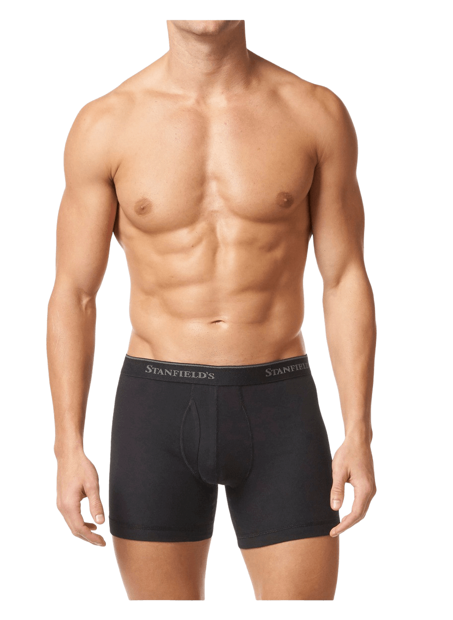 Stanfields Boxer Premium Modern Fit Pour Homme - Lot De 2