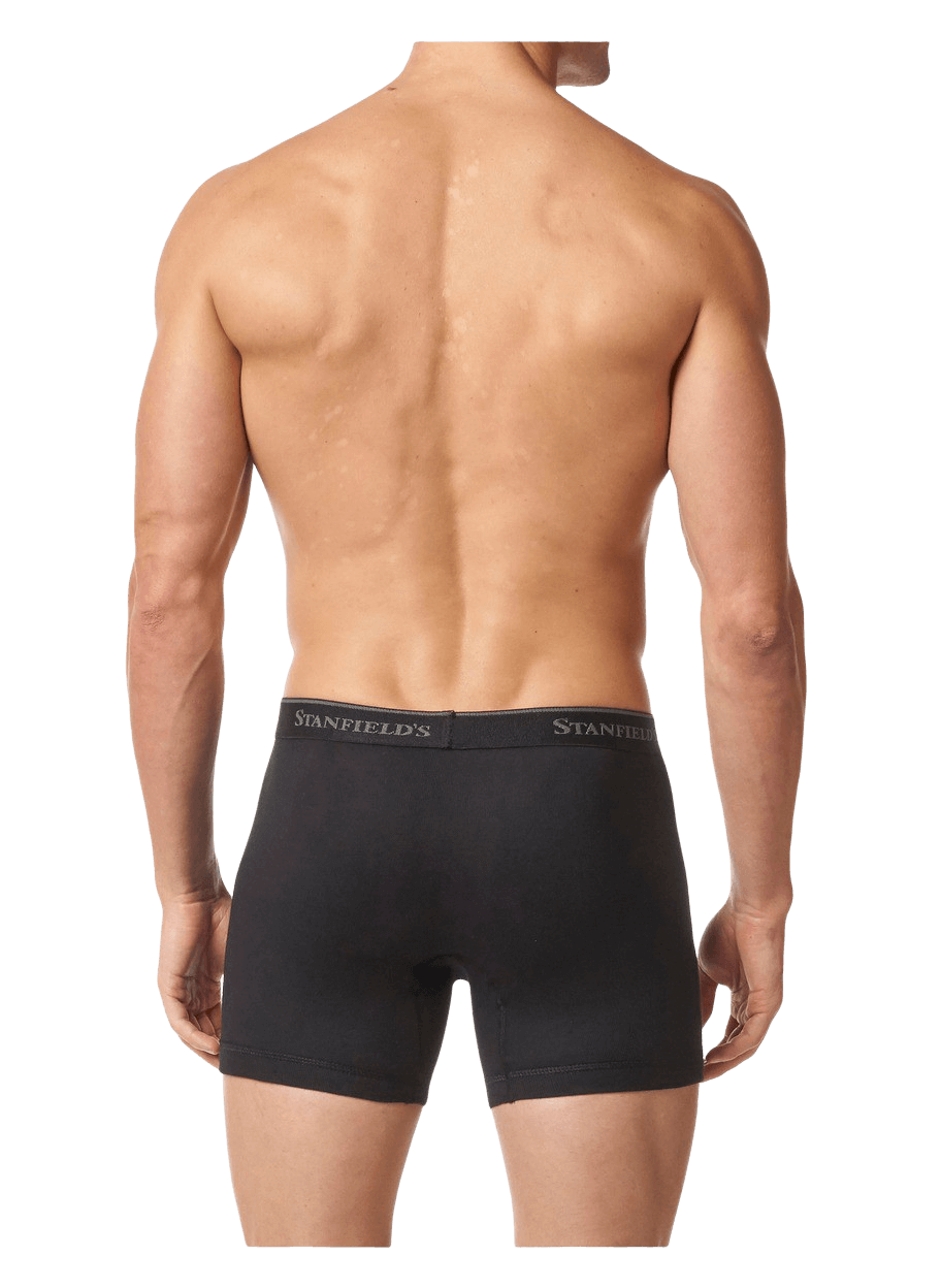 Stanfields Boxer Premium Modern Fit Pour Homme - Lot De 2