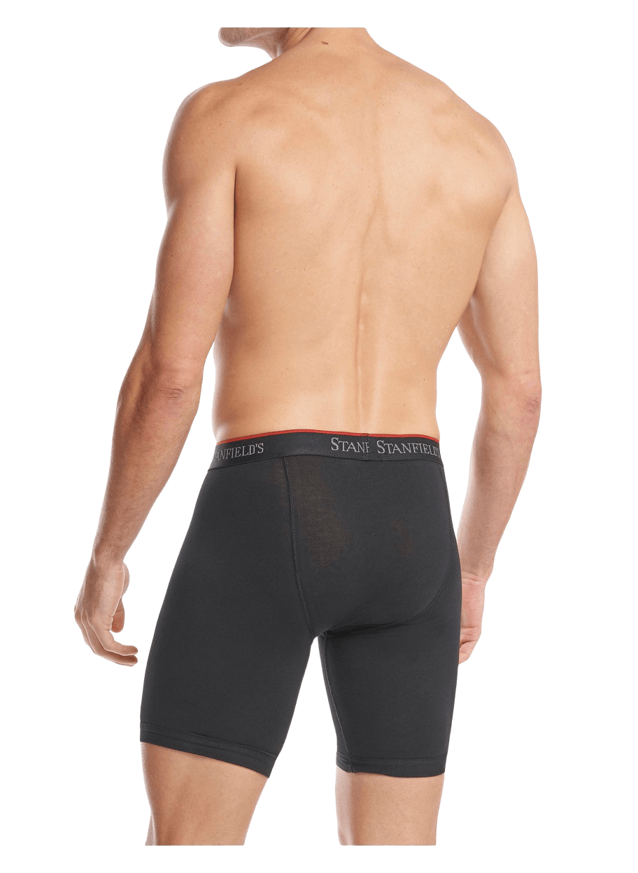 Stanfields Caleçon Boxeur Extensible à Jambes Longues Pour Hommes - Paquet De 2