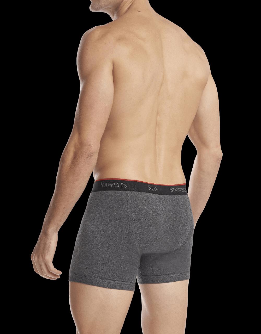 Stanfields Caleçon Boxeur Extensible Pour Hommes - Paquet De 2