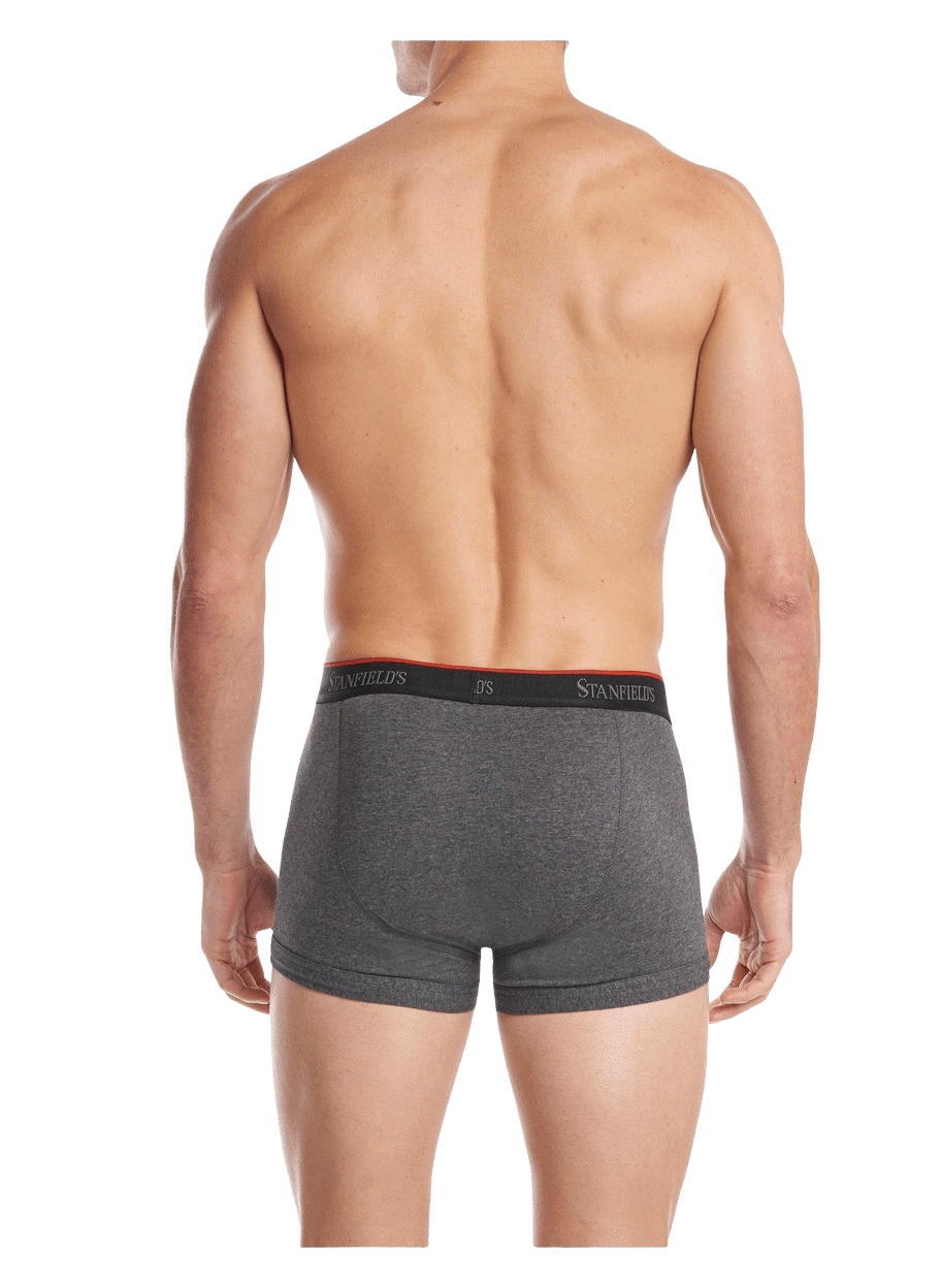 Stanfields Caleçon Extensible Pour Hommes - Paquet De 2