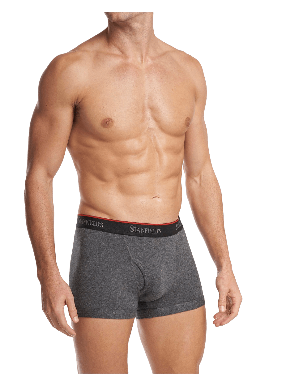 Stanfields Caleçon Extensible Pour Hommes - Paquet De 2