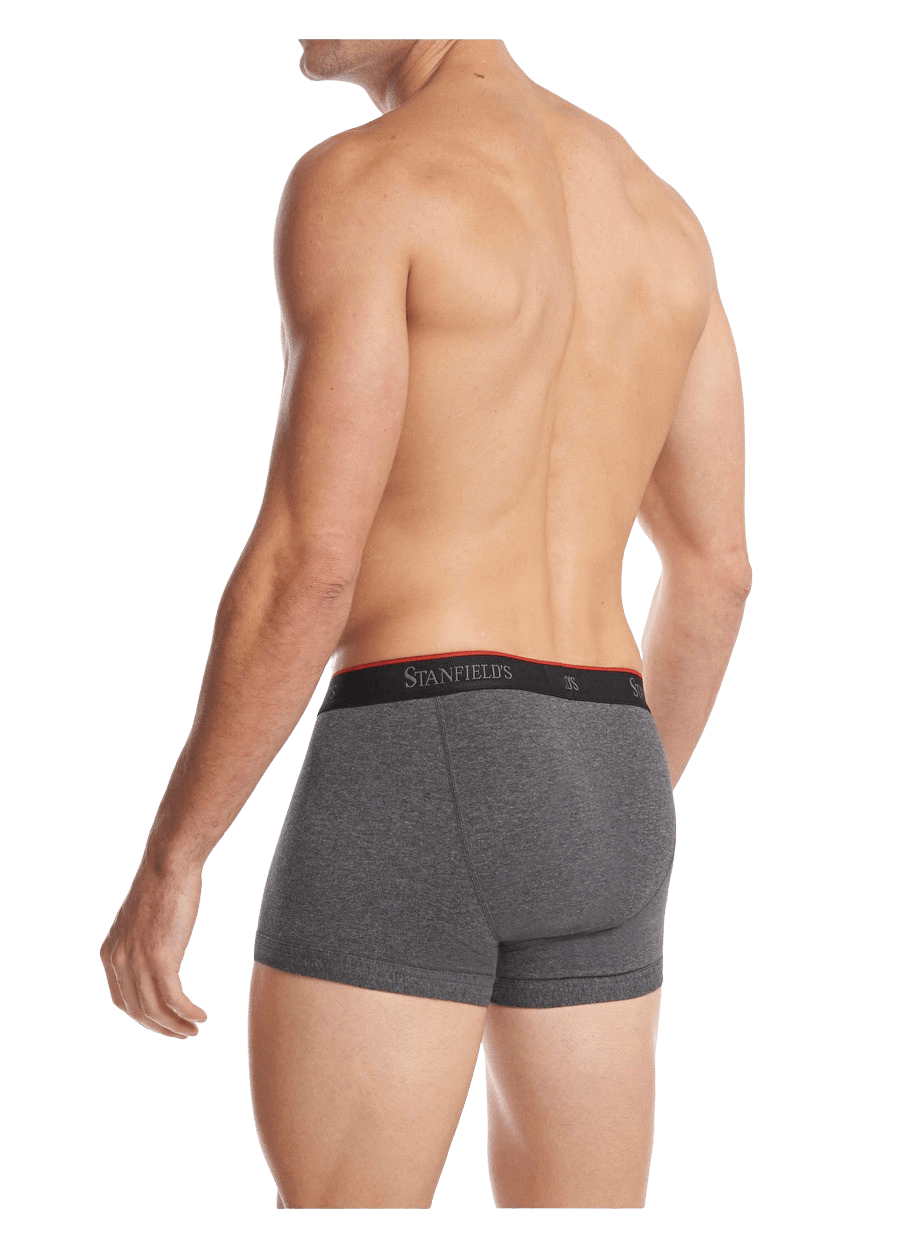 Stanfields Caleçon Extensible Pour Hommes - Paquet De 2
