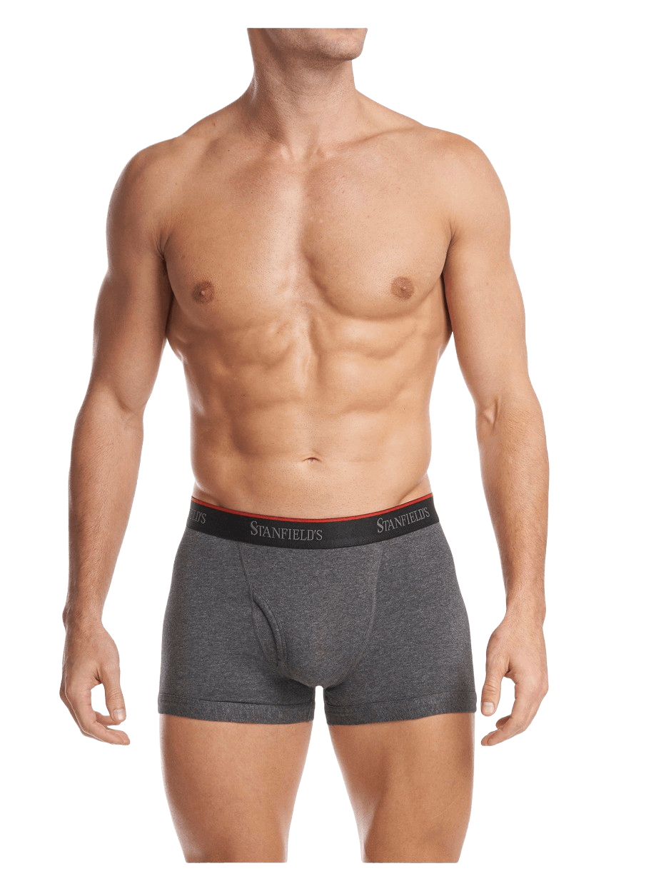 stanfields Caleçon extensible pour hommes - paquet de 2 stanfields Caleçon extensible pour hommes - paquet de 2
