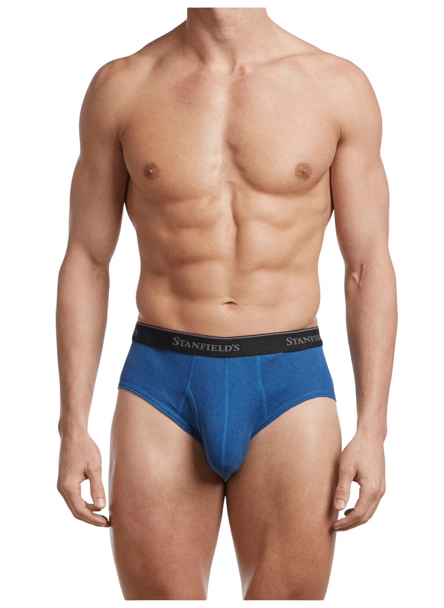 stanfields Culotte Premium Modern Fit pour homme - lot de 2 stanfields Culotte Premium Modern Fit pour homme - lot de 2