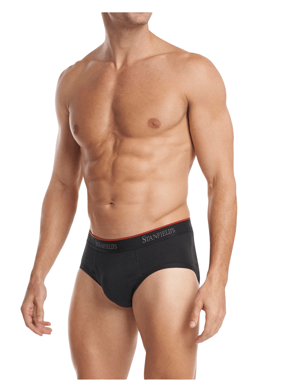 Stanfields Slip En Coton Stretch Pour Homme - Lot De 3