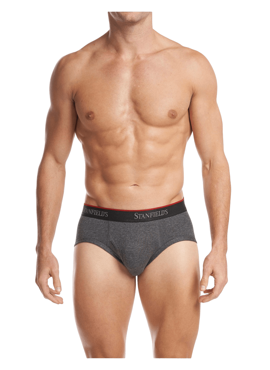 Stanfields Slip En Coton Stretch Pour Homme - Lot De 3