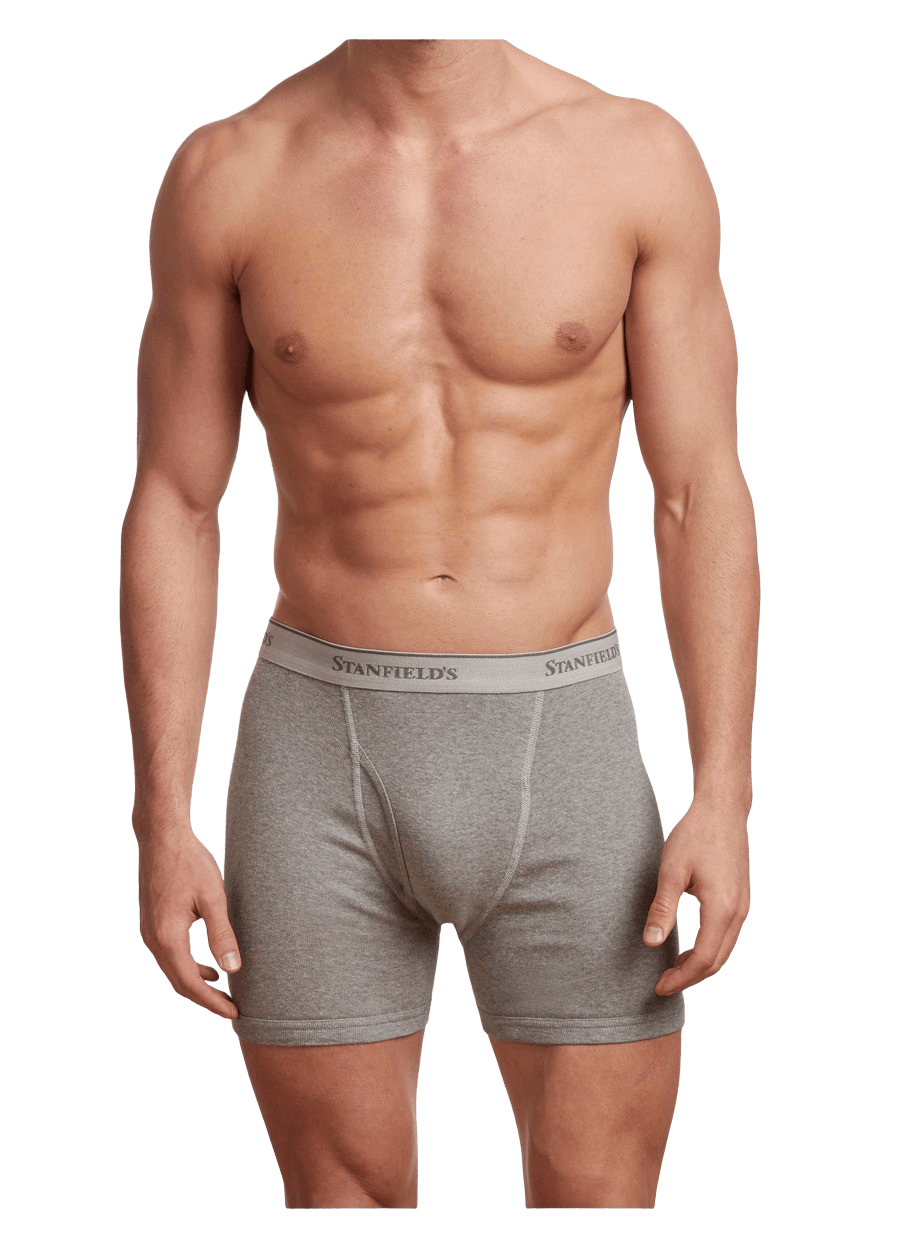 Stanfields Boxer Haut De Gamme Pour Homme - Lot De 2