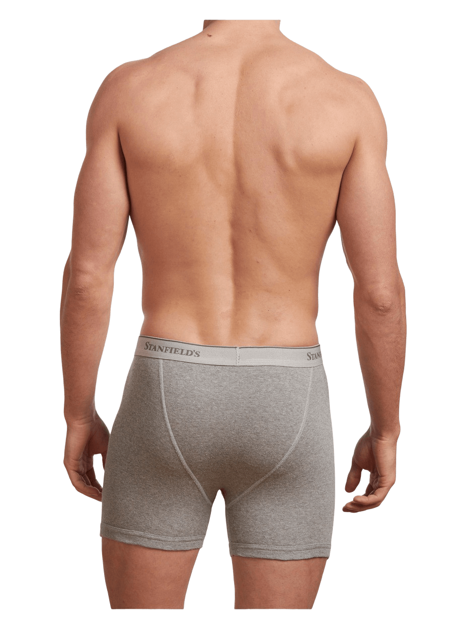 Stanfields Boxer Haut De Gamme Pour Homme - Lot De 2