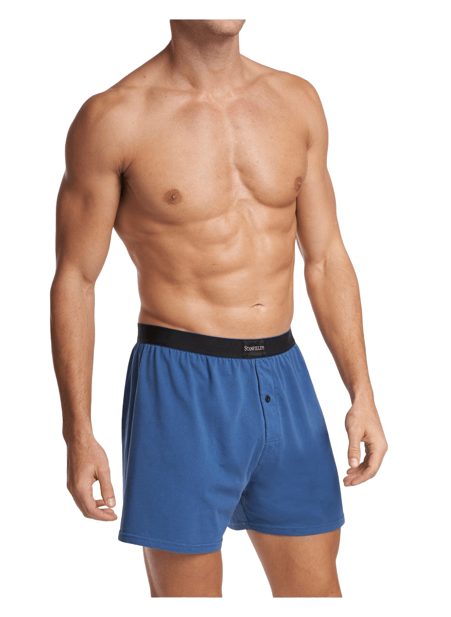 Stanfields Boxer Haut De Gamme Pour Hommes