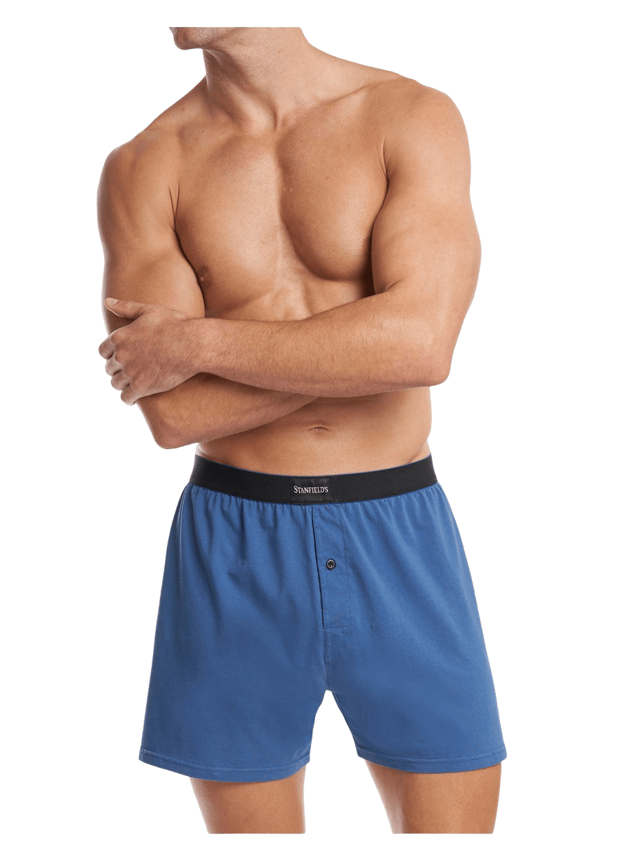 Stanfields Boxer Haut De Gamme Pour Hommes