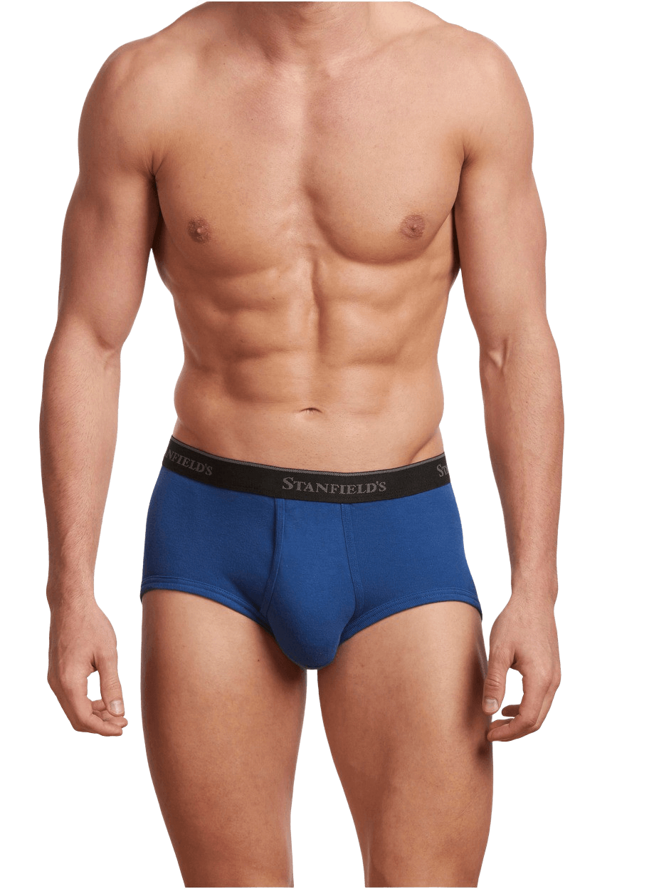 Stanfields Slip Haut De Gamme Pour Homme - Lot De 3
