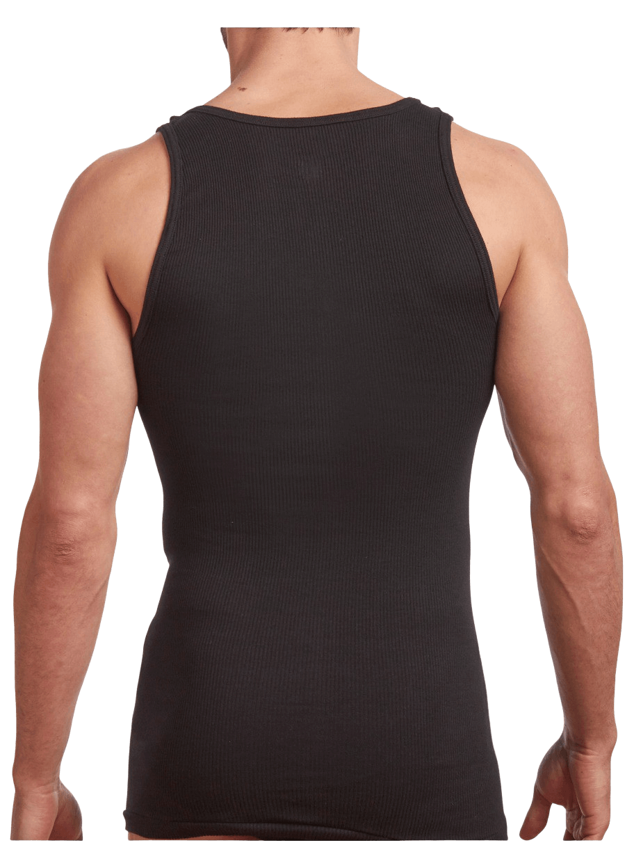 Stanfields T-shirt Premium Pour Hommes - Lot De 2