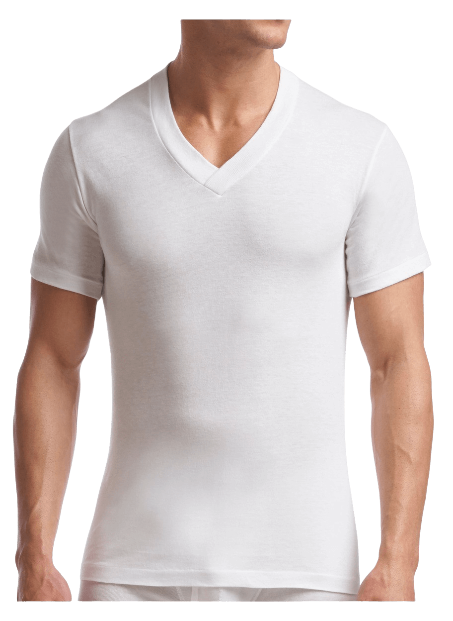 stanfields T-shirt à col en V Supreme Tall pour hommes - paquet de 2