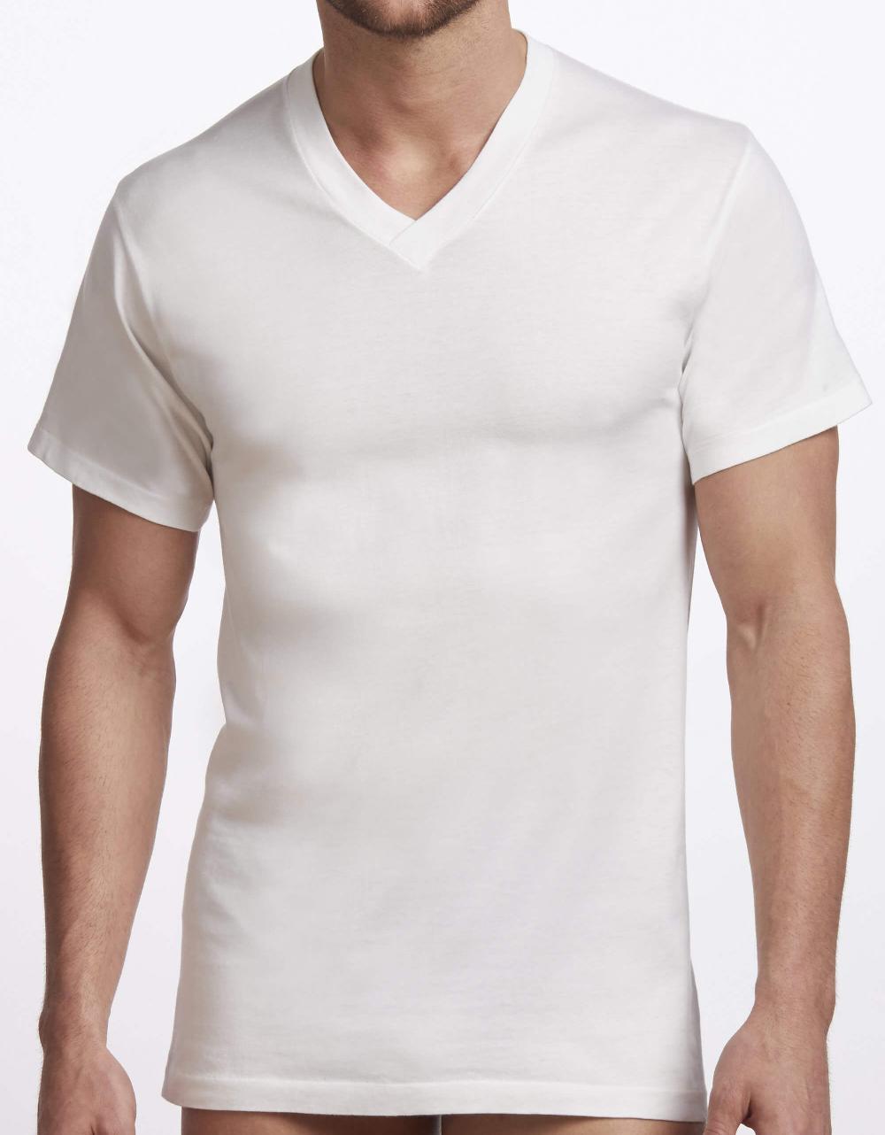 stanfields T-shirt premium à col en V pour hommes - lot de 2 stanfields T-shirt premium à col en V pour hommes - lot de 2