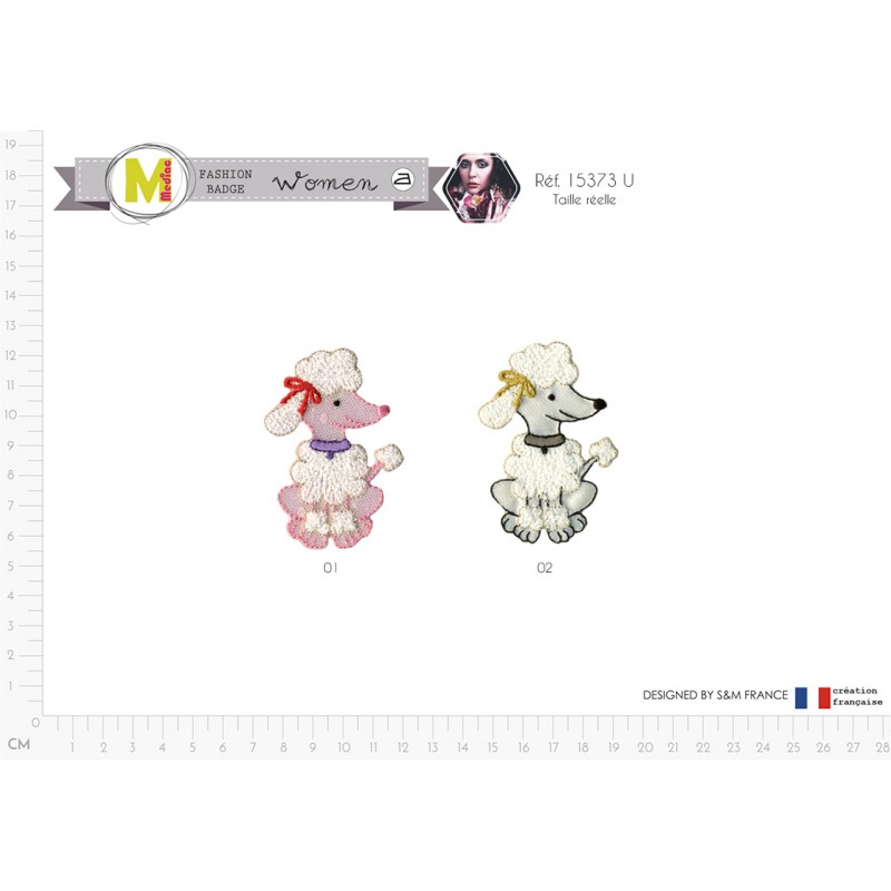 Stephanoise M15373 - M CANICHE ASSISX