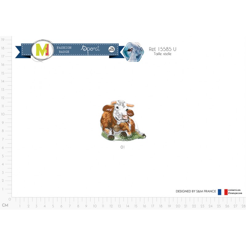 Stephanoise M15585 - M VACHE