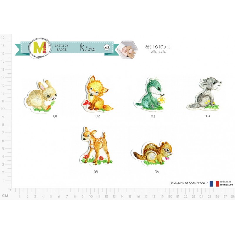 Stephanoise M16105 - S ECUSSON DANS ECUSSON LA FORET