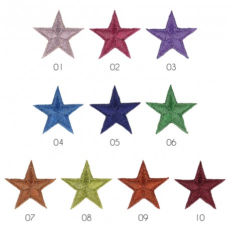 stephanoise M16312 - S ECUSSON ETOILE BRILLANT E