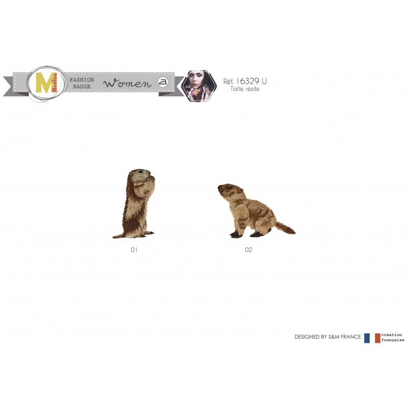 Stephanoise M16329 - M ECUSSON MARMOTTE PROFIL