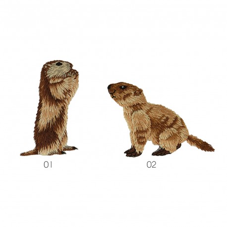 stephanoise M16329 - M ECUSSON MARMOTTE PROFIL