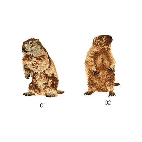 stephanoise M16330 - M ECUSSON TETE MARMOTTE