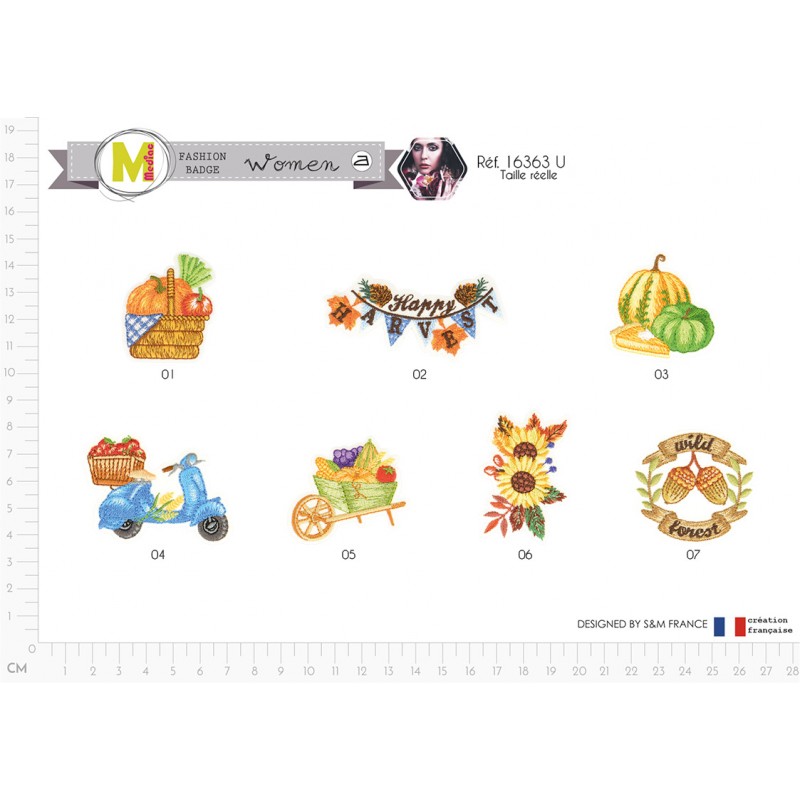 Stephanoise M16363 - M ECUSSON D'AUTOMNE