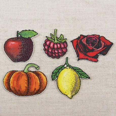 stephanoise M16473 - S ECUSSON THEME JARDIN