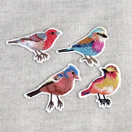 stephanoise M16486 - S ECUSSON OISEAU