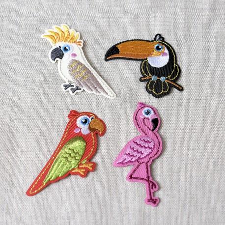 stephanoise M16532 - M ECUSSON OISEAUX EXOTIQUES