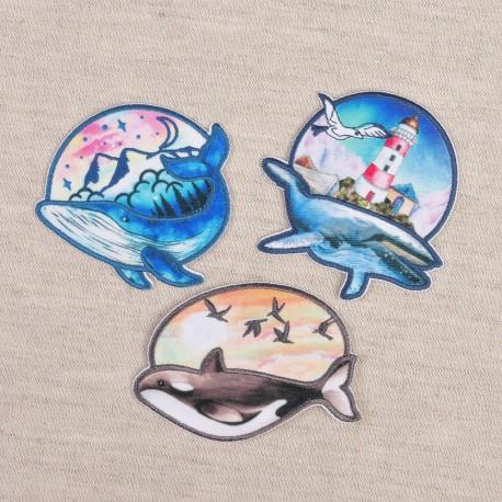 Stephanoise M16564 - M ECUSSON BALEINE