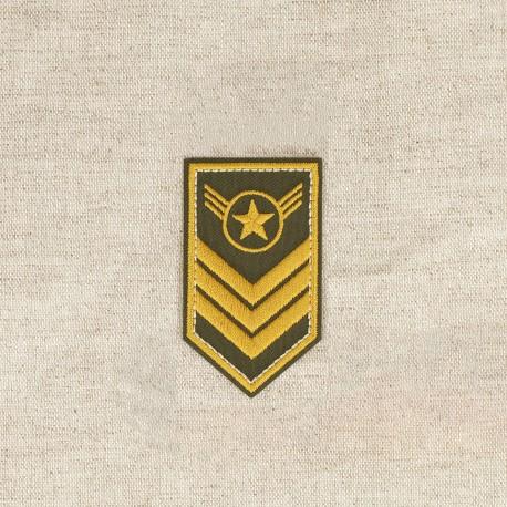 Stephanoise M16584 - M ECUSSON ARMEE