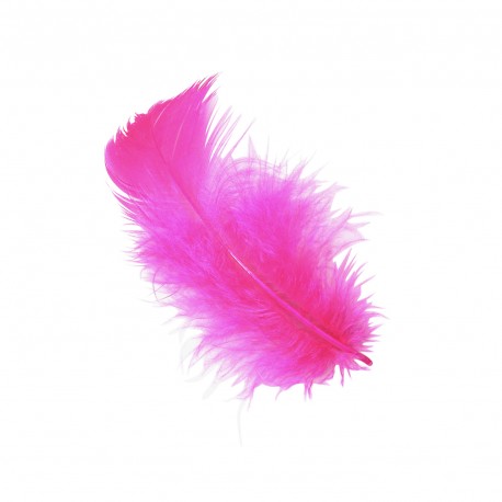 stephanoise M18290 - DUVET (5GR) BOITE