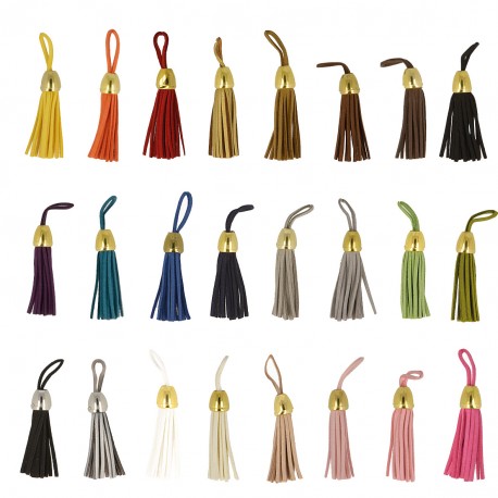 stephanoise S12538 - POMPONS S/CARTE X 2