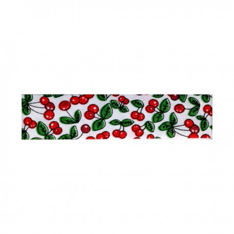 stephanoise S1821 - BIAIS REPLIE 20/10/10 "FRUITS"