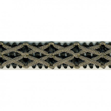 stephanoise S4772 - GALON FANTAISIE 25MM