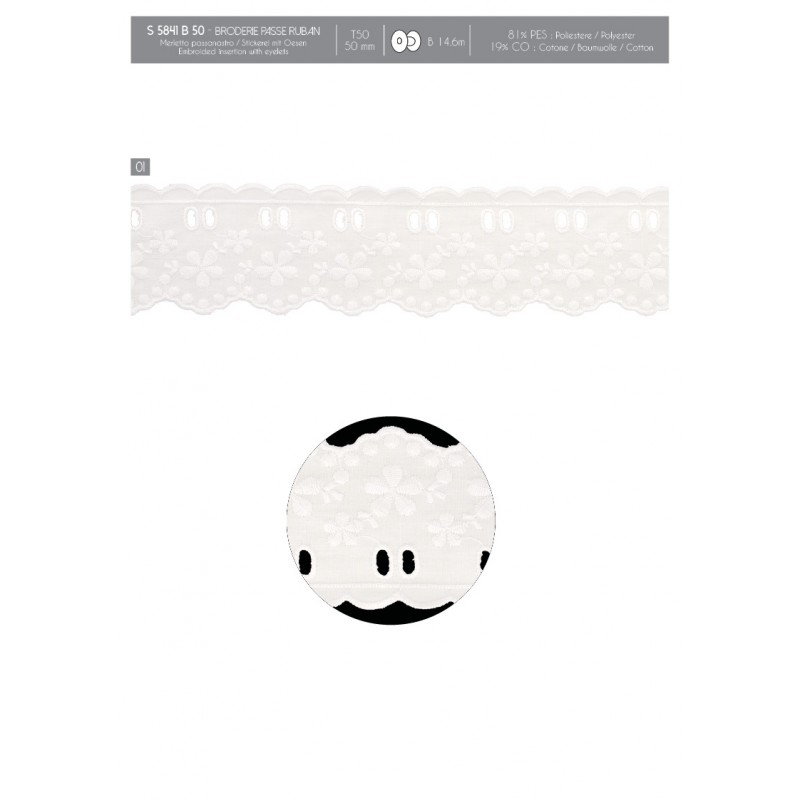 Stephanoise S5841 - BRODERIE PASSE RUBAN