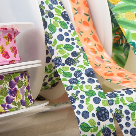 stephanoise S6050 - BIAIS FRUITS