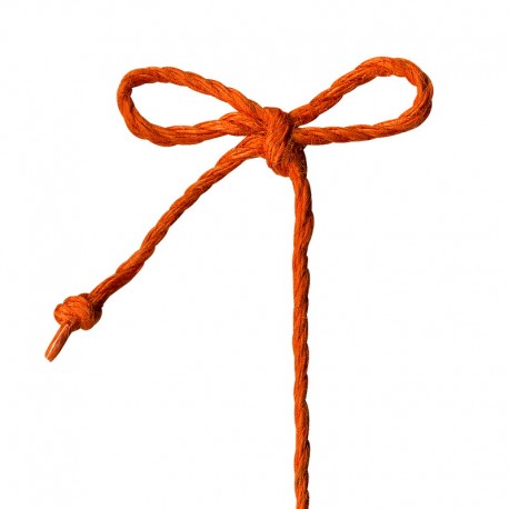 stephanoise S668 - CORDELIERE 100 % JUTE 3MM