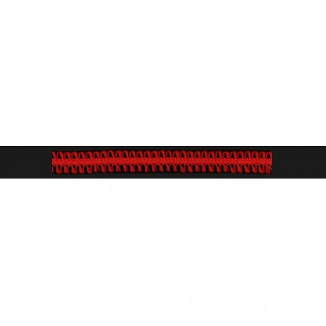 stephanoise S7426 - GALON FANTAISIE