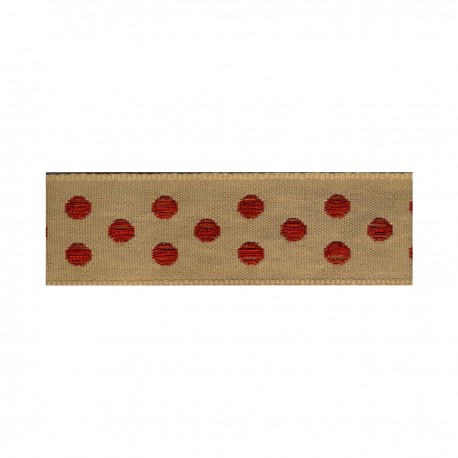 stephanoise S7606 - GALON POIS METAL 25MM