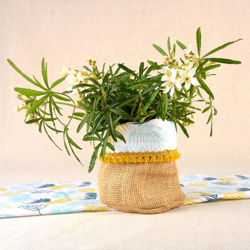 Stephanoise S7722 - GALON FRANGES 12MM