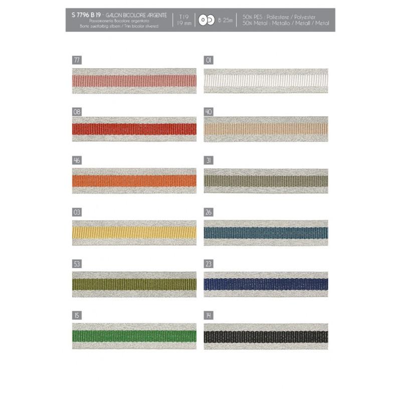 Stephanoise S7796 - GALON BICOLORE ARGENTÉ