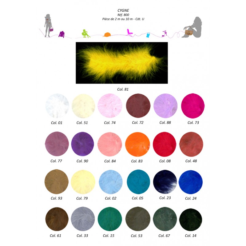 Stephanoise S800 - 'CYGNE'