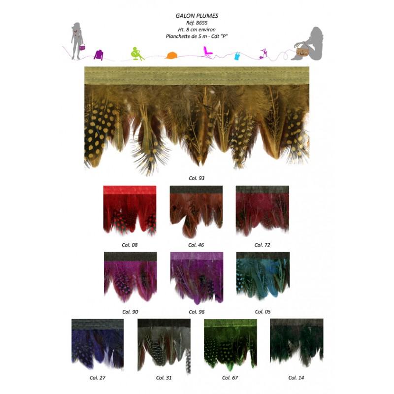 Stephanoise S8655 - GALON PLUME