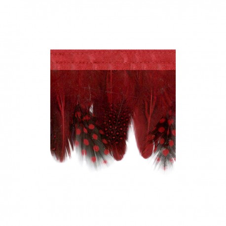 stephanoise S8655 - GALON PLUME