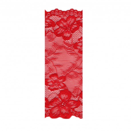 stephanoise S9094 - DENTELLE ELASTIQUE 220 MM